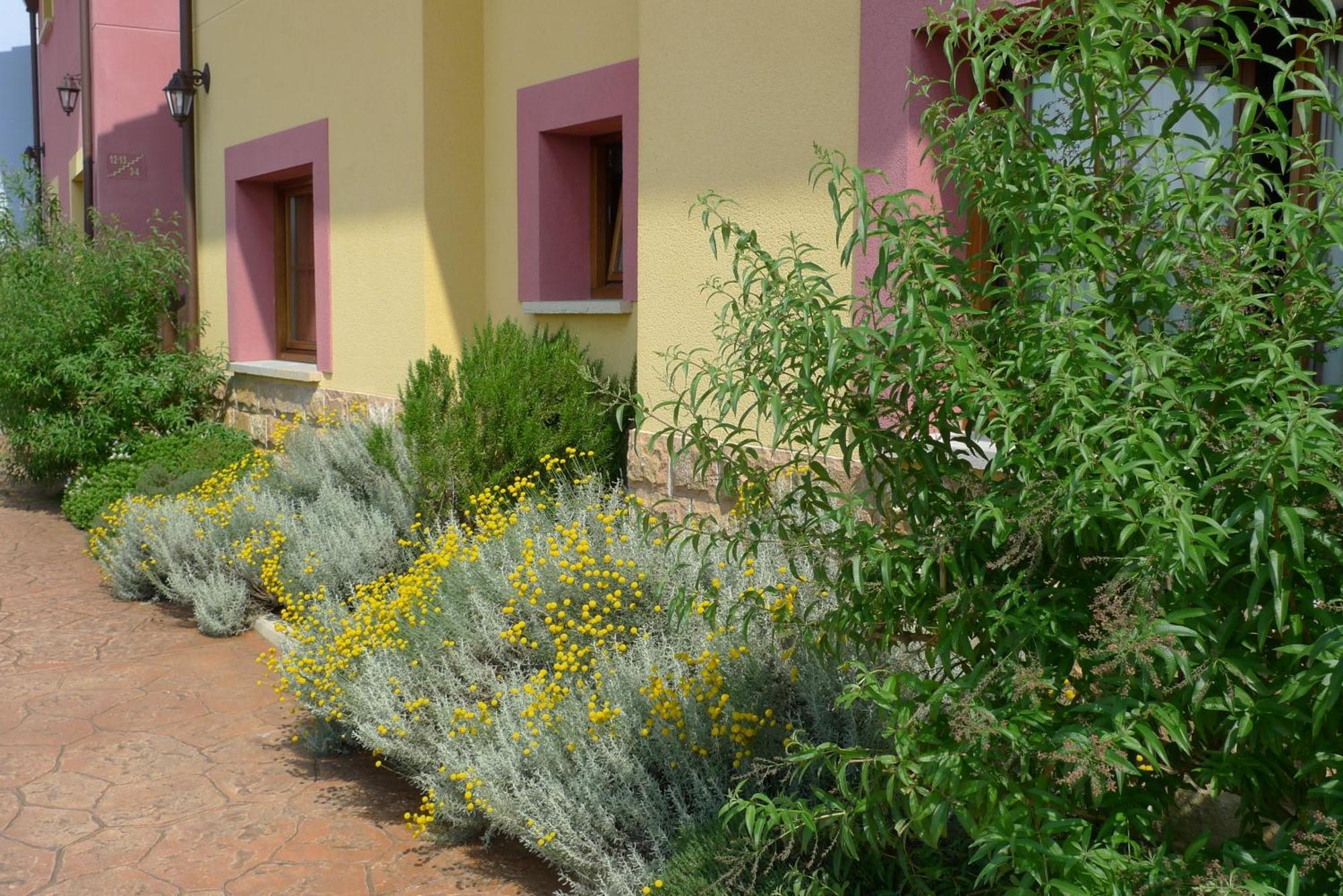 Apartamentos Rurales Antojanes Granda  Exteriör bild
